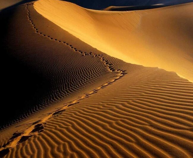 In-cammino-nel-Deserto