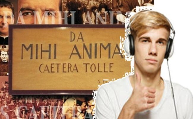 damihianimasDonMax
