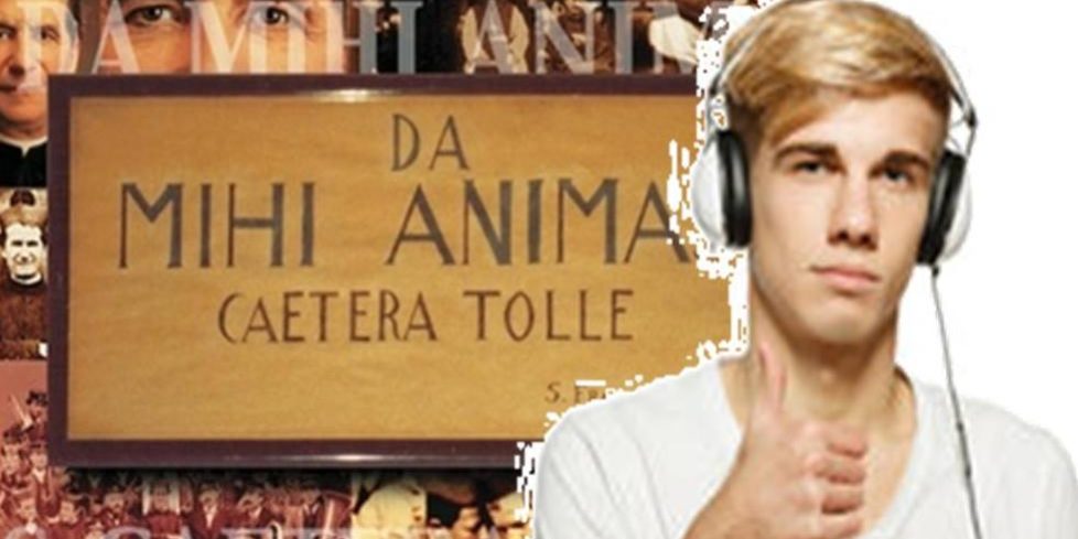 damihianimasDonMax