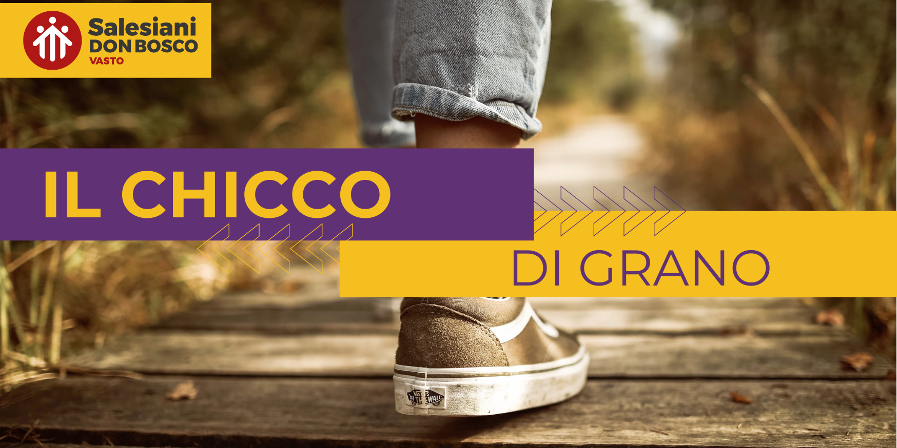 FOTO IN EVIDENZA ARTICOLI